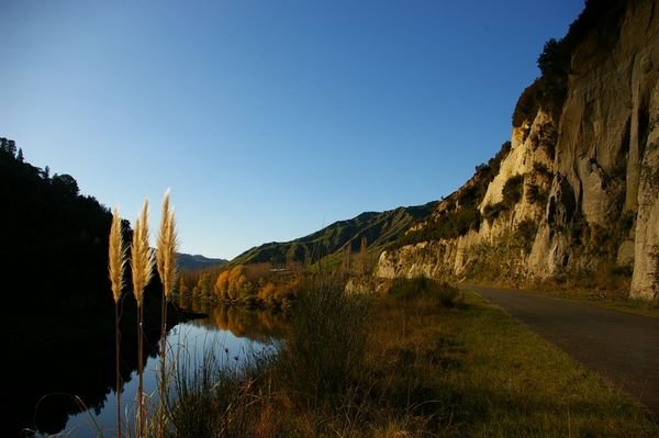 Wanganui river in autumn