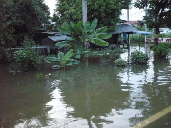 More flooding