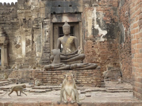 Buddha and the Monkeys