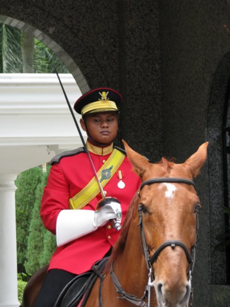 Royal Horse Guard