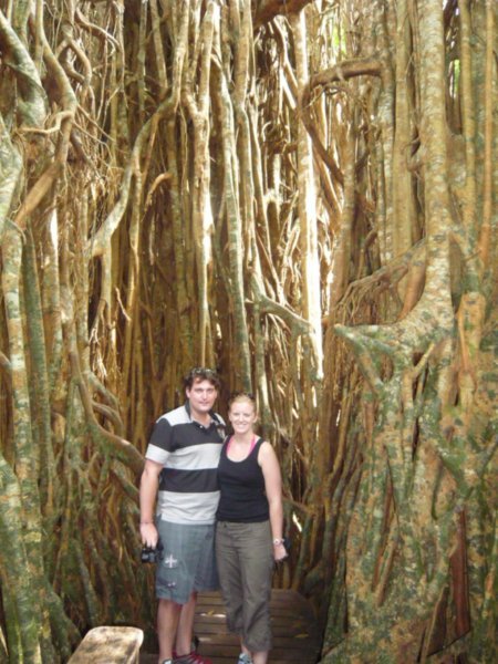 Michelle & Luke at the base of the Cathedral Fig Tree