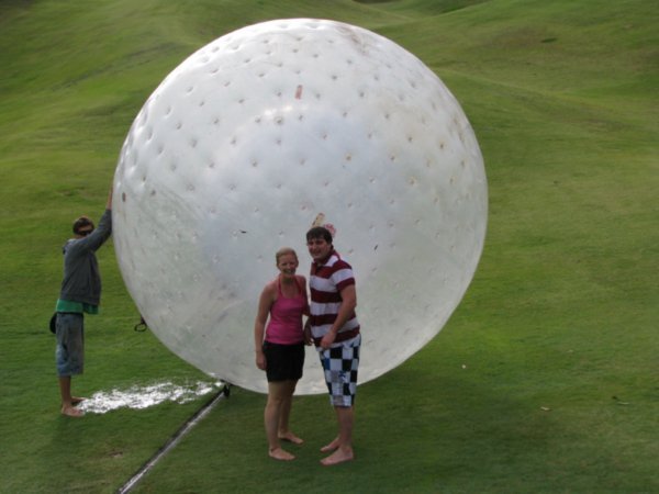 We survived the the mayhem of Zorbing