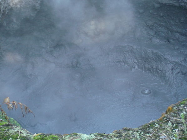 Bubbling Mud, Rotorua