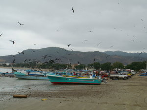 Puerto Lopez 