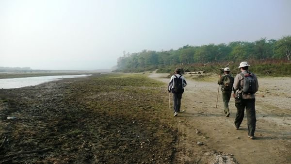 Pour découvrir le parc national de Chitwan, il n'y a pas mieux que de partir l'explorer à pied !