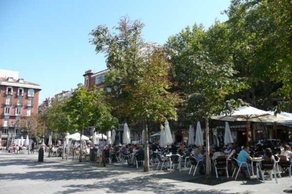 Les terrasses de cafe madrilenes