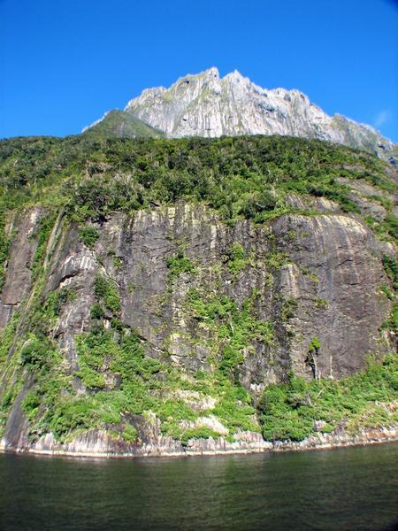 MILFORD SOUND: Imposing Cliff Faces / Imponentes Paredes