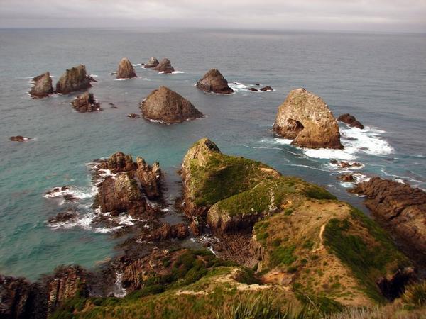 NUGGET POINT: The nuggets themselves / Las pepitas mismas