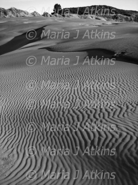 WHANGANUI BEACH Sand Dunes / Dunas