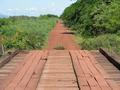 Road to El Pantanal / Carretera del Pantanal