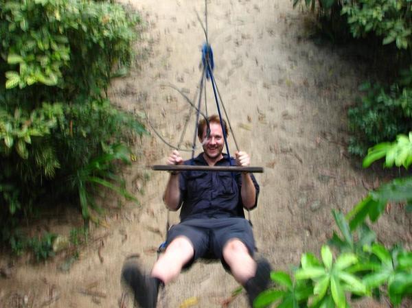 Swinging in the woods / Columpiándome en el bosque