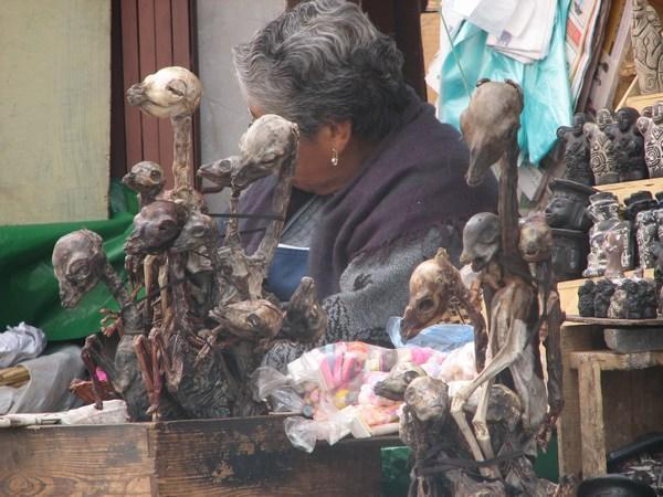 Llama foetuses, Witches Market / Fetos de llama, Mercado de las Brujas