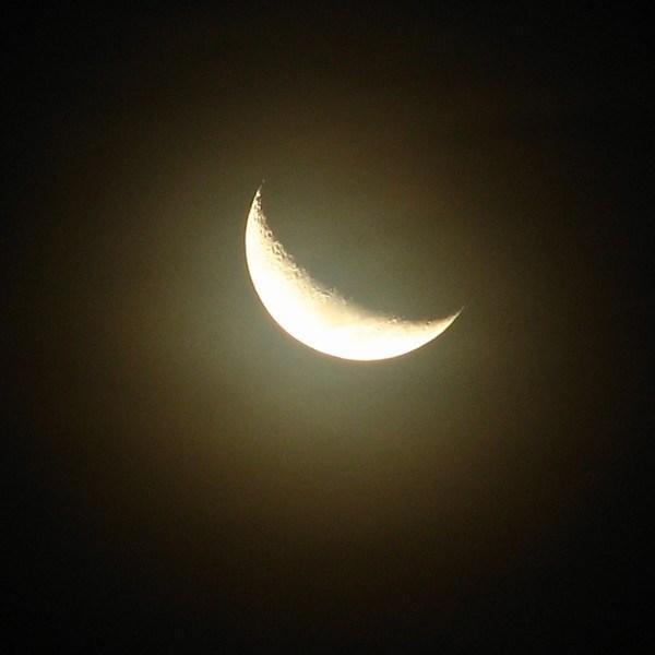 Crescent moon / Luna creciente