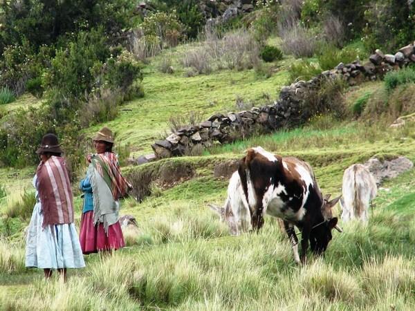 Isla del Sol: Cow girls / Vaqueras