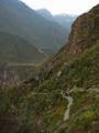 Colca Canyon: The easy way (on the back of a mule!) / Cañón del Colca: La manera fácil (¡sobre una mula!)