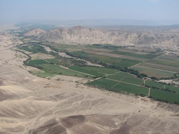 Fertile valley in the desert / Fértil valle en el desierto