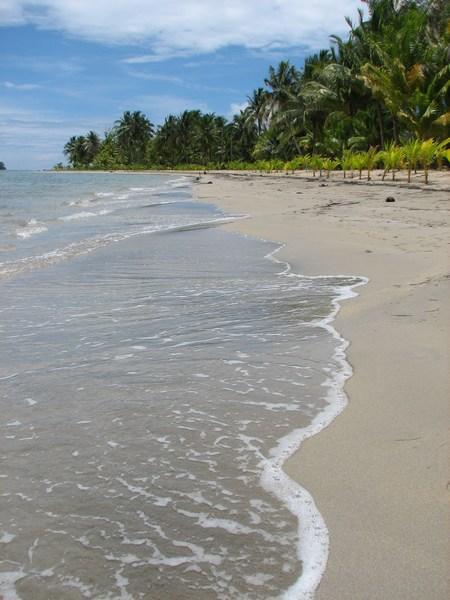 Bocas del Toro: Yet another coconut palm beach / Otra playa de palmeras cocoteras