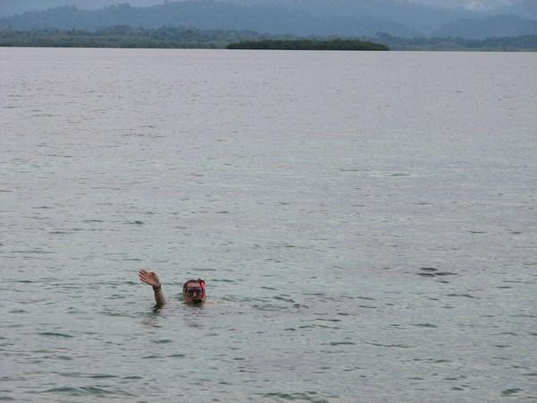 Bocas del Toro: Snorkelling in Coral Cay / Snorkelling en Cayo Coral