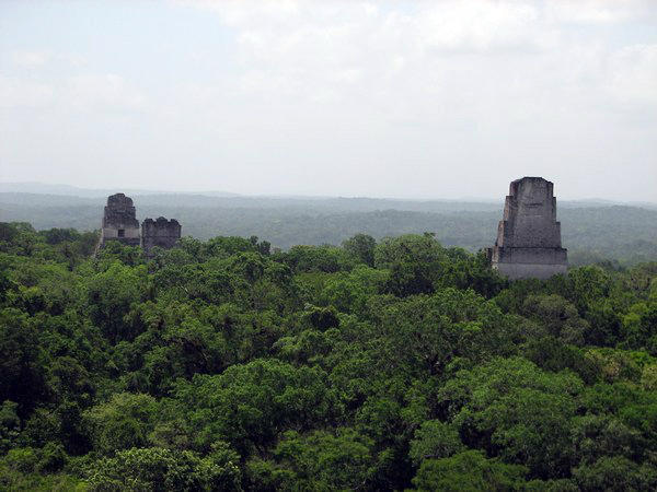 TIKAL: View from Temple IV / Vista desde el Templo IV