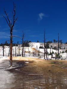 YELLOWSTONE: Mammoth Hot Springs / Fuentes Termales "Mamut"