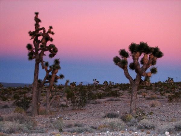 DEATH VALLEY: Sunset in the desert / Puesta de sol en el desierto