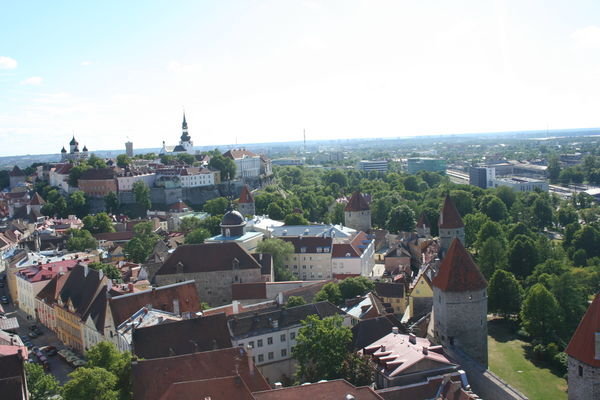 La renome de Tallin: la vieille ville