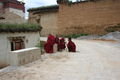 Jeunes moines