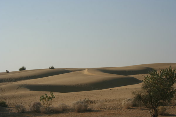 Ah ces dunes