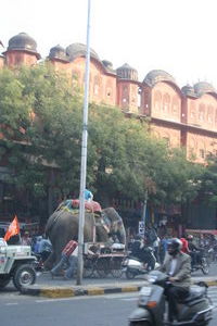 Jaipur, capitale du Rajasthan ... et il y a meme des elephants en plein centre-ville!