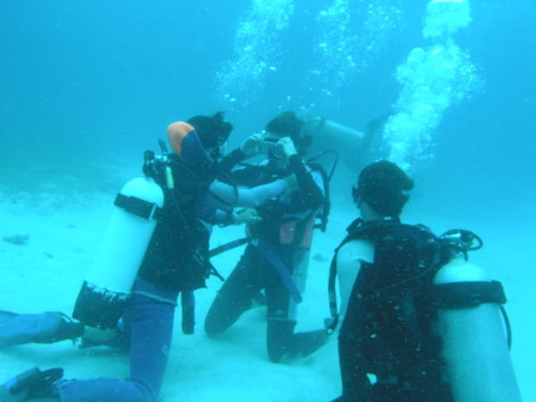 Learner Divers