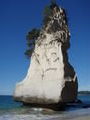 Cathedral Cove on the Coromandel