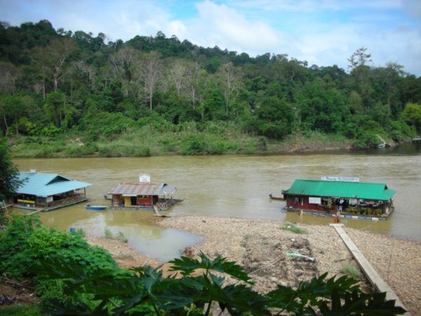 River before crossing into Rainforest