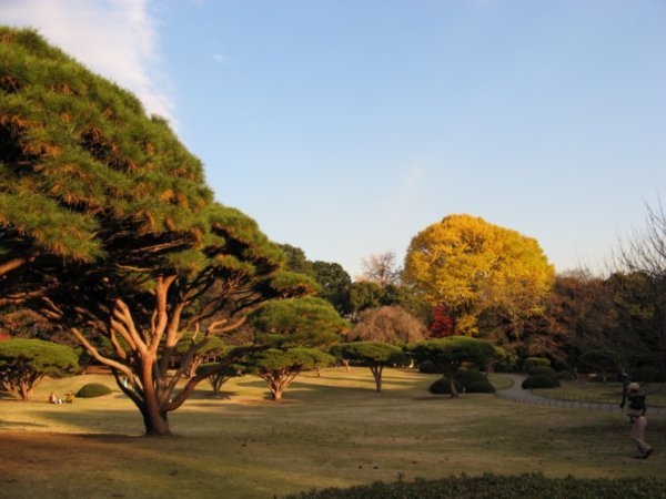 Park in Tokio