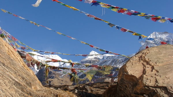 Mountains and Prayer Flags