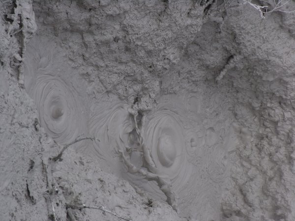 Bubbling Mud Pools