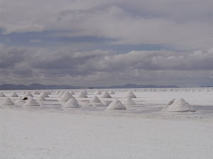 The salt farm....