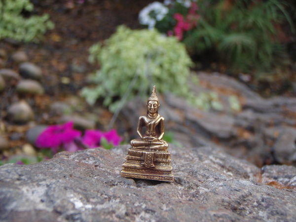 My Buddha