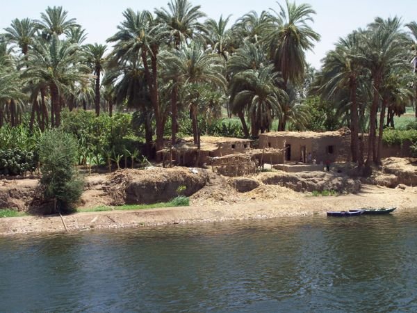 along the Nile