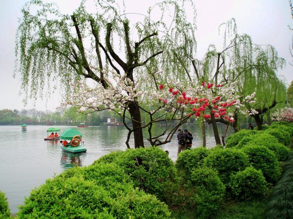 Gardens by the West Lake