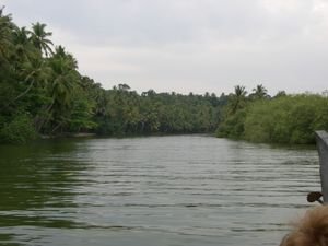 On the way to the backwaters