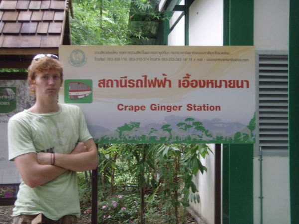 Crape Ginger Station