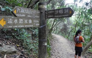 Wilson Trail
