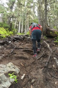 Wedgemount hike