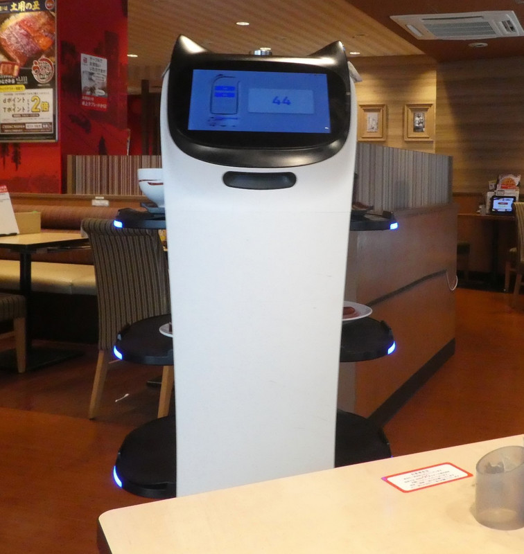 The kitty robot at service
