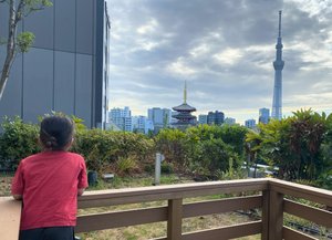 The Asakusa View