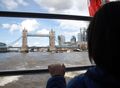 The Tower Bridge view