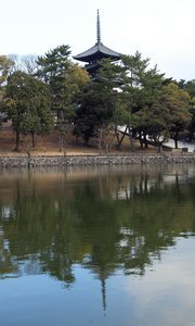 View of the tower of Kofukuji　興福寺の五重塔