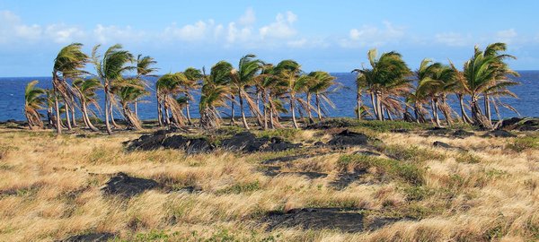 Volcano NP