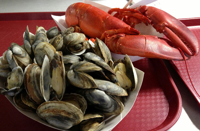 Steamed lobster & clam!