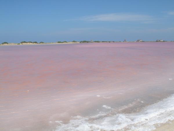 Salt Plains, Paragua Peninsular